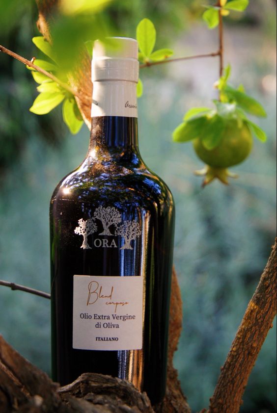 Olive oli Olive oil: prevention of cardiovascular diseases and cancer
