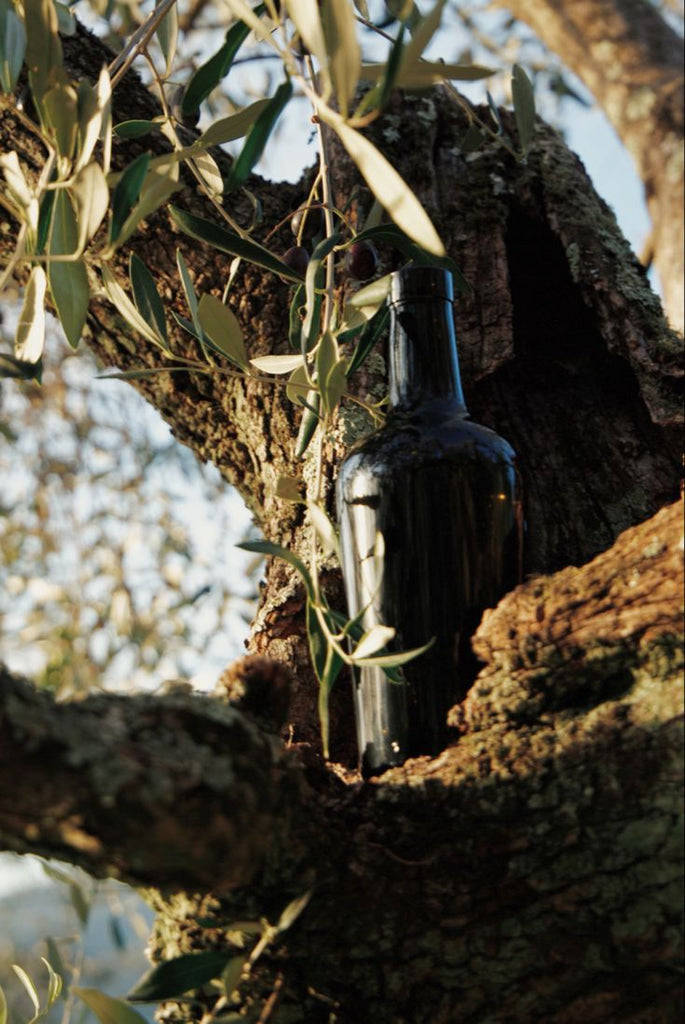 Olive oli Choosing Extra Virgin Olive Oil: A guide to packaging